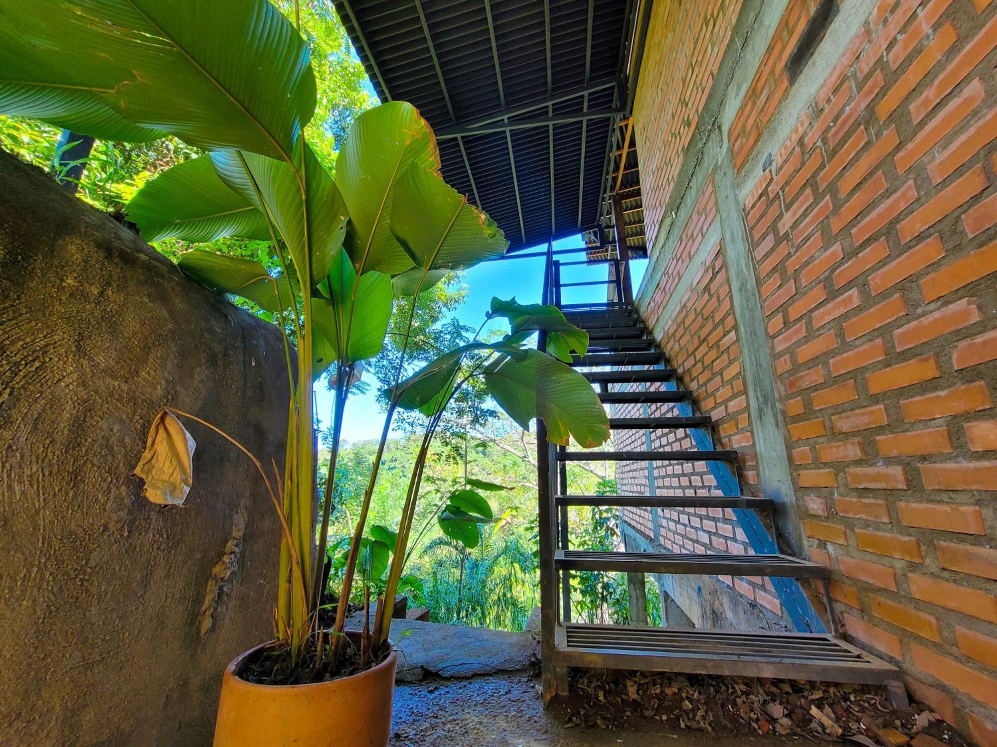 Hostel Pistacho Minca Exteriér fotografie